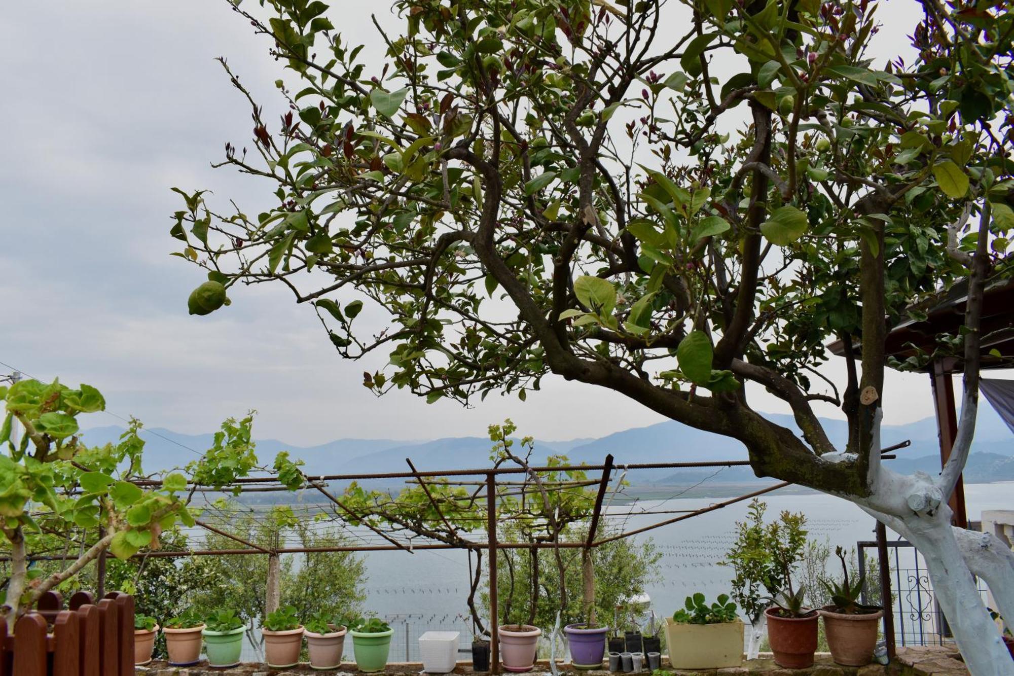 Ksamil Sea&Lake View Escape 外观 照片